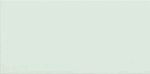 Domino Delice mint płytka ścienna 22,3x44,8 cm