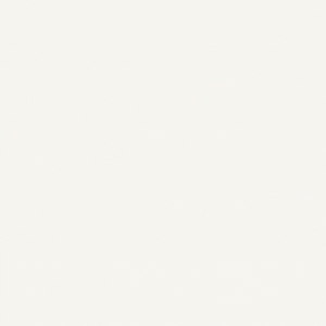 Płytka Evo Ceramika TONARA WHITE SATIN 32.8x89.8